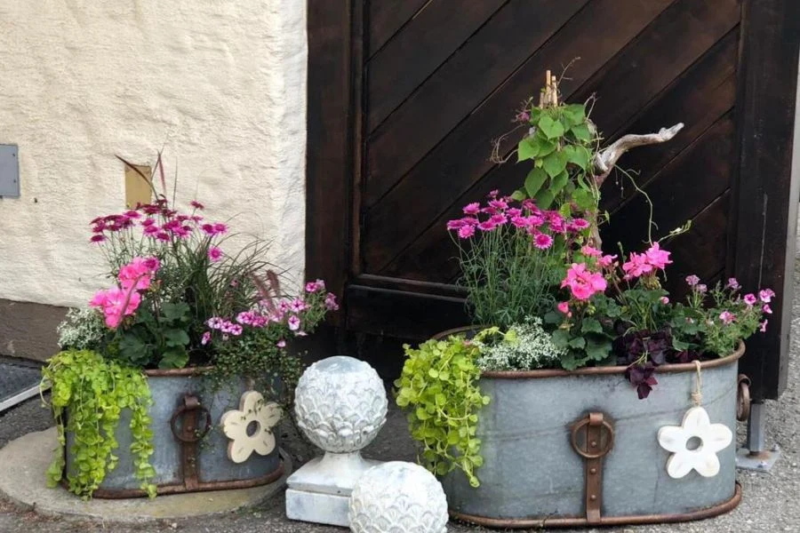 Garten & Pflanzen
